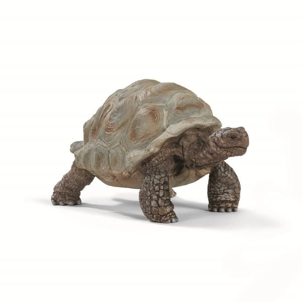 schleich® WILD LIFE Jättesköldpadda 14824