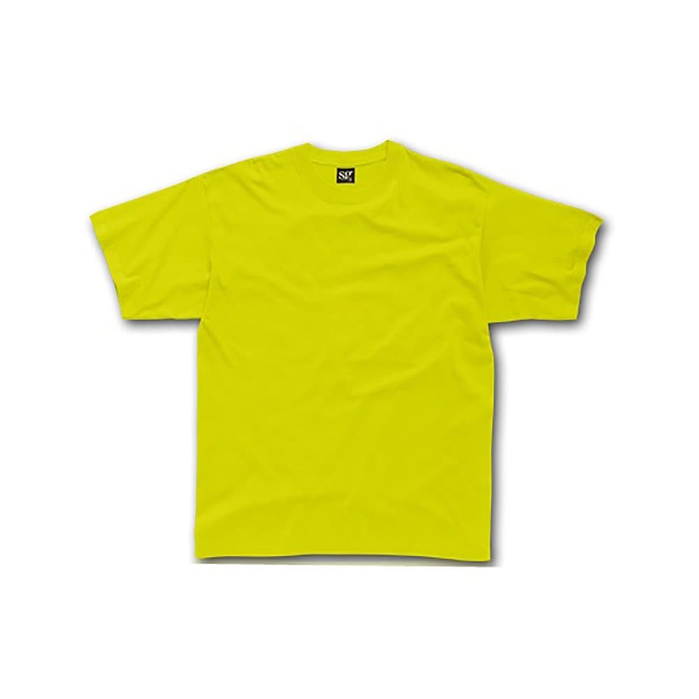SG Kids/Childrens Unisex Heavyweight T-Shirt