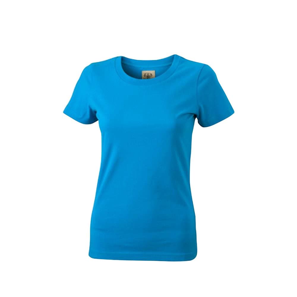 James and Nicholson Womens/Ladies Vintage-T