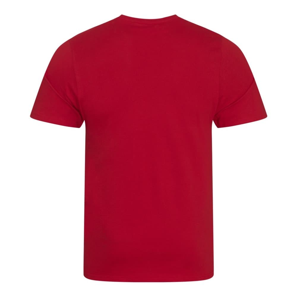 Ecologie Mens Organic Cascades T-Shirt