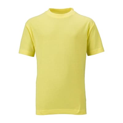 James and Nicholson Childrens/Kids Basic Tee