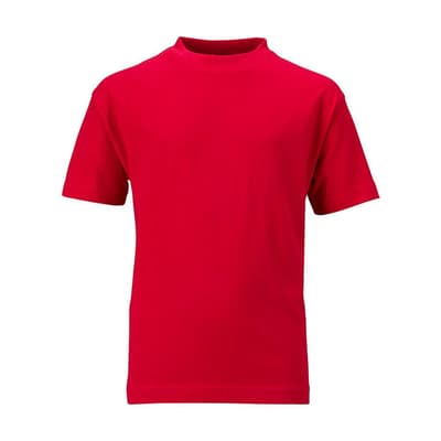 James and Nicholson Childrens/Kids Basic Tee