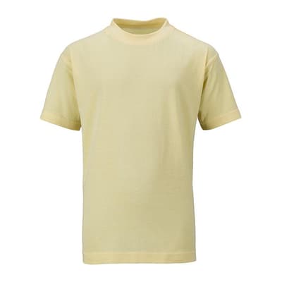 James and Nicholson Childrens/Kids Basic Tee