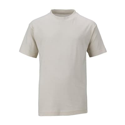 James and Nicholson Childrens/Kids Basic Tee