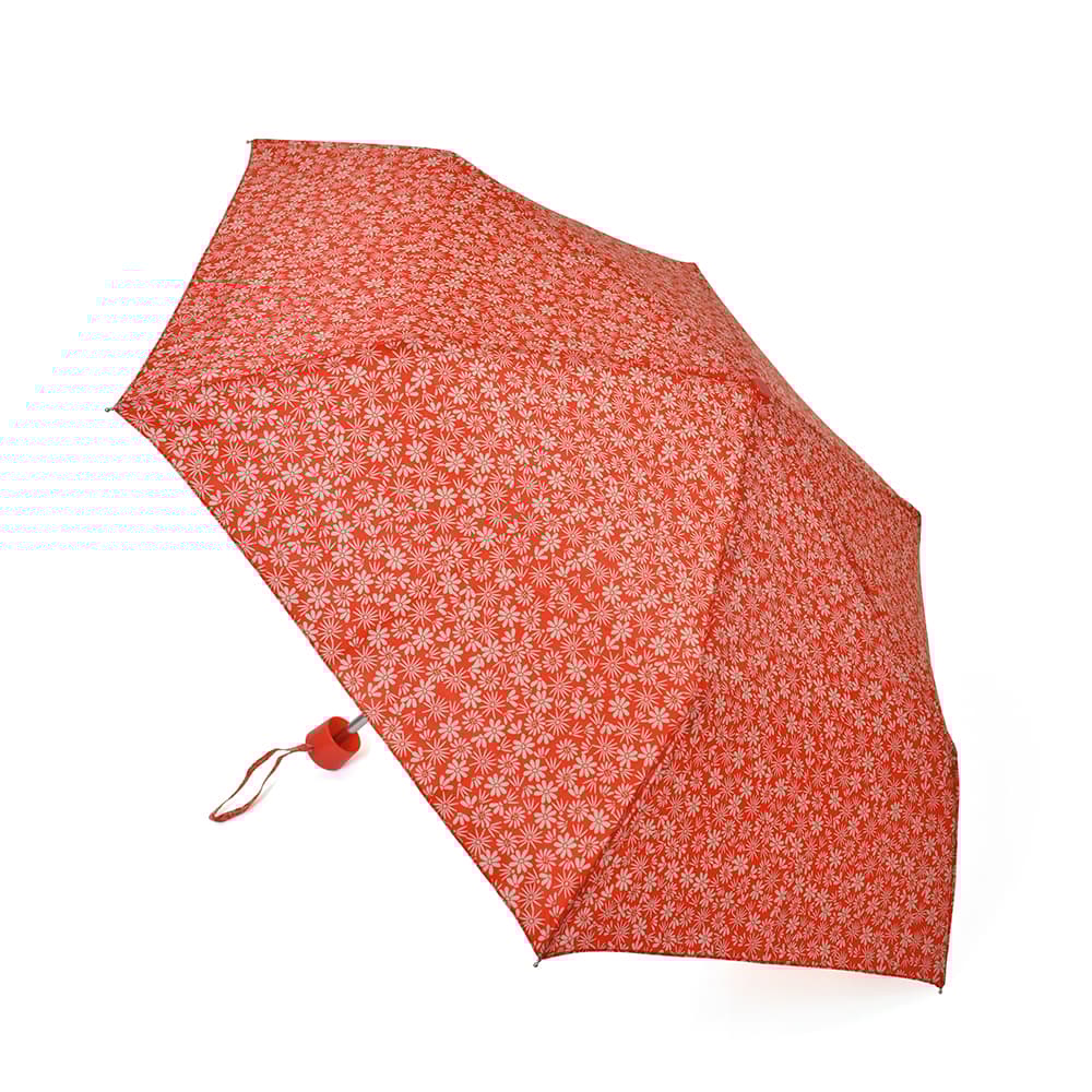 Drizzles Kvinnor / damer tusenskönor kompakt paraply