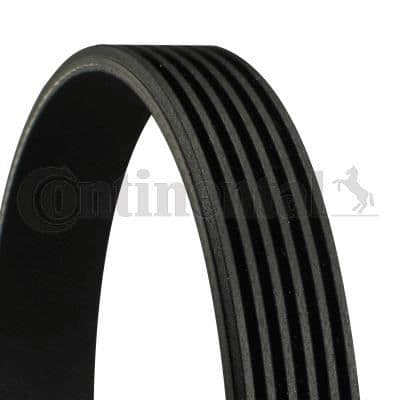 CONTITECH V-ribbat bälte 6PK1185