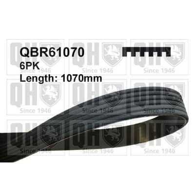 QUINTON HAZELL Drive Belt QBR61070