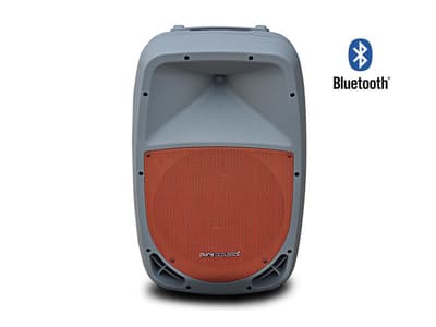 Pure Acoustics PMW1212 Portabel Högtalare med Bluetooth