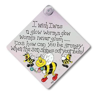 Something Different I Wish I Was A Glow Worm Window Sign
