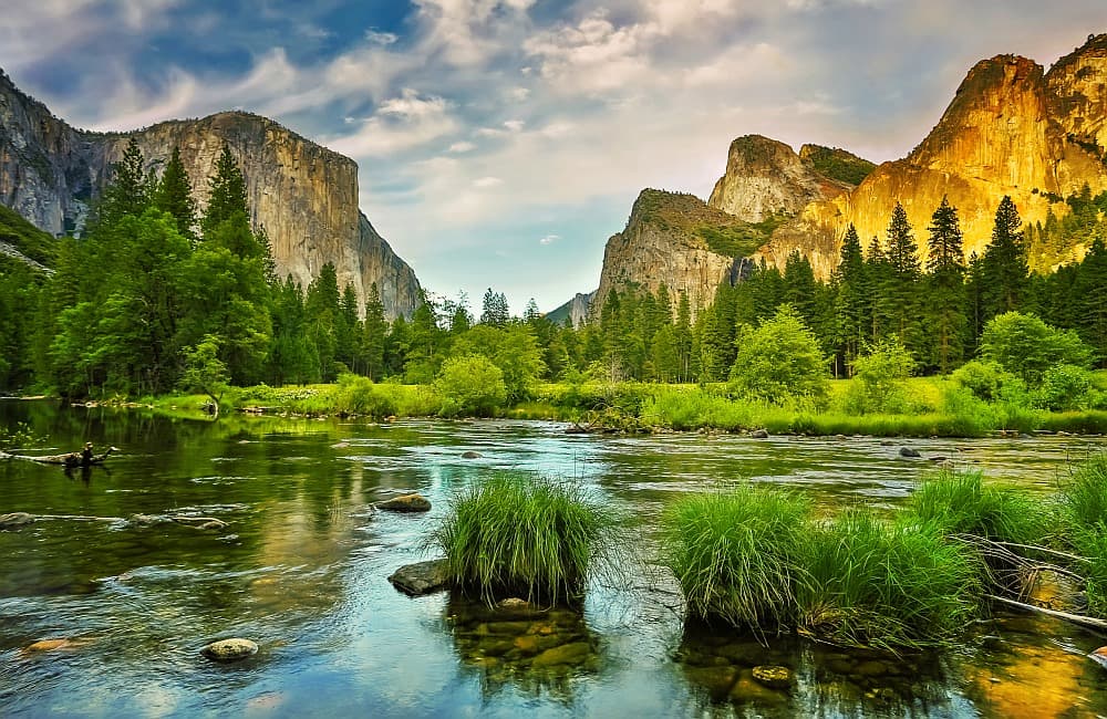 Fototapet Yosemite National Park (400x260 cm)
