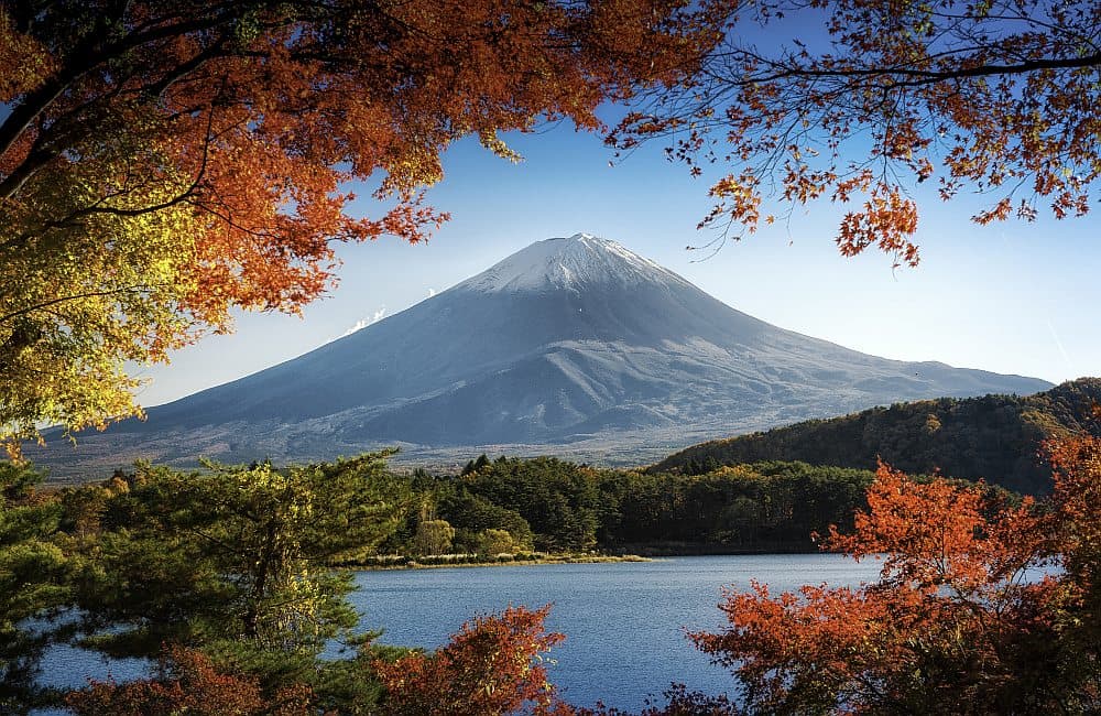 Fototapet Fuji In Autumn (400x260 cm)