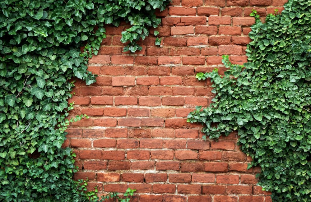 Fototapet Old Brick Wall (400x260 cm)