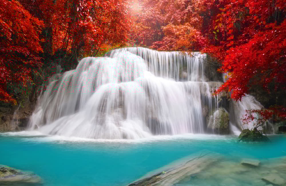 Fototapet Waterfall In Deep Forest (400x260 cm)