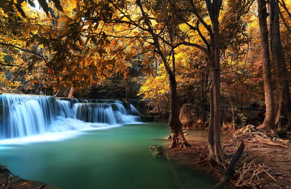 Fototapet Deep Autumn Forest Waterfall (400x260 cm)