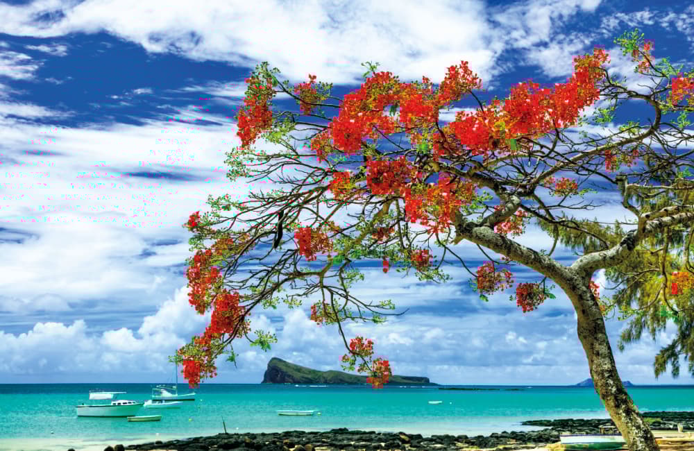 Fototapet Mauritius (400x260 cm)