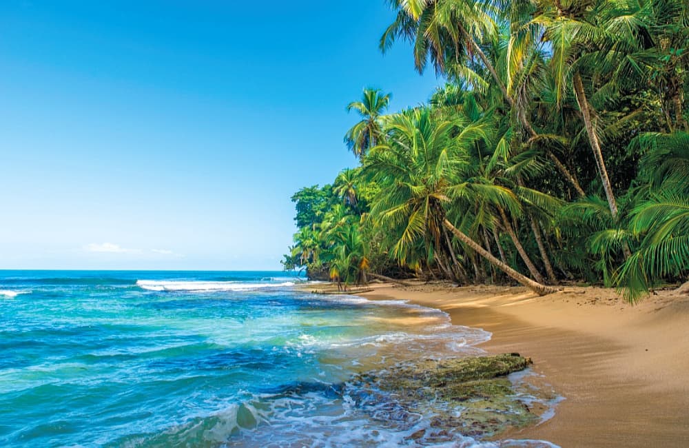 Fototapet Paradise Wild Beach i Costa Rica (400 x 260 cm)
