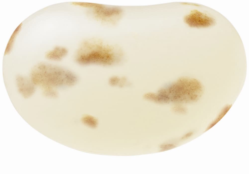 Jelly Belly Apple Pie 1kg