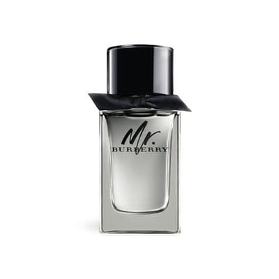 Burberry Mr. Burberry edt 100ml