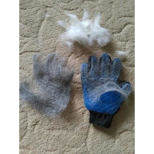Handske med silikonebørster til hund / kat | Pet Grooming Glove