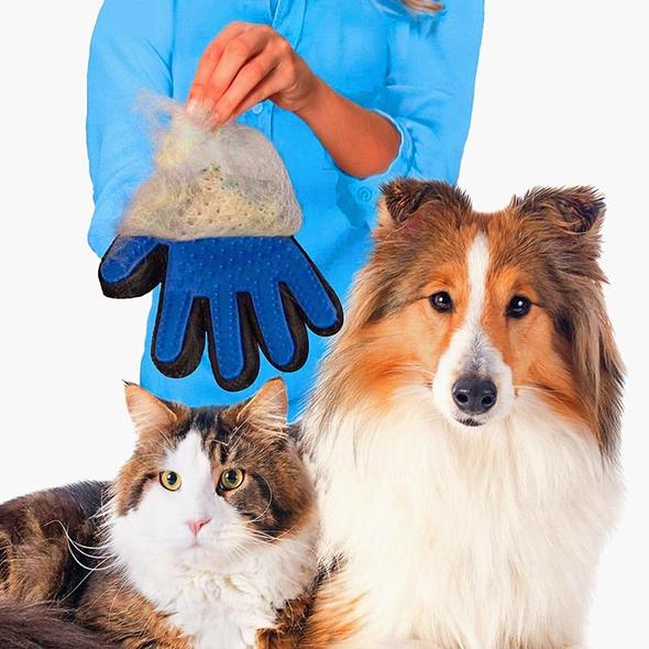 Borsthandske Hund/Katt - Höger