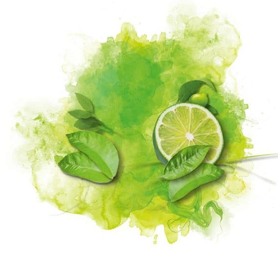 4711 Acqua Colonia Lime & Nutmeg edc 50ml