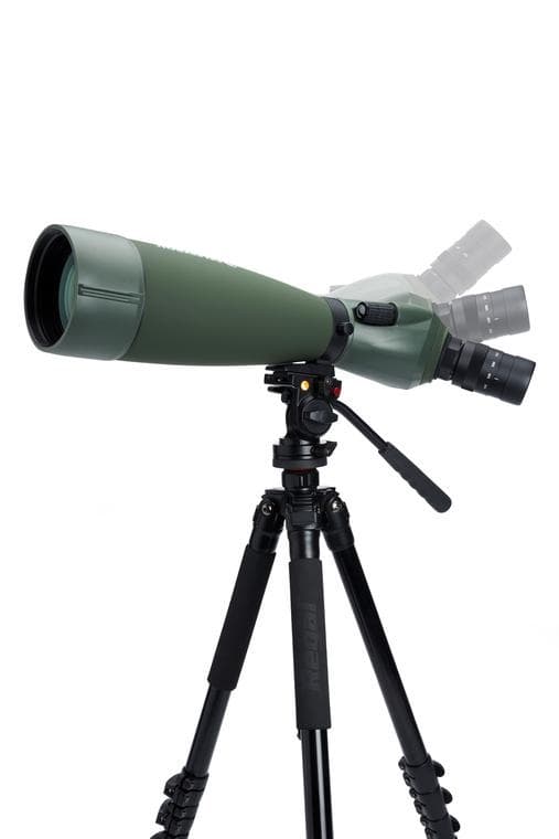 Celestron Regal M2 20-60x80mm