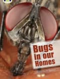 Miniatyrbild 1 av 2: Bug Club Independent Non Fiction Year Two Lime A Bugs in our Homes