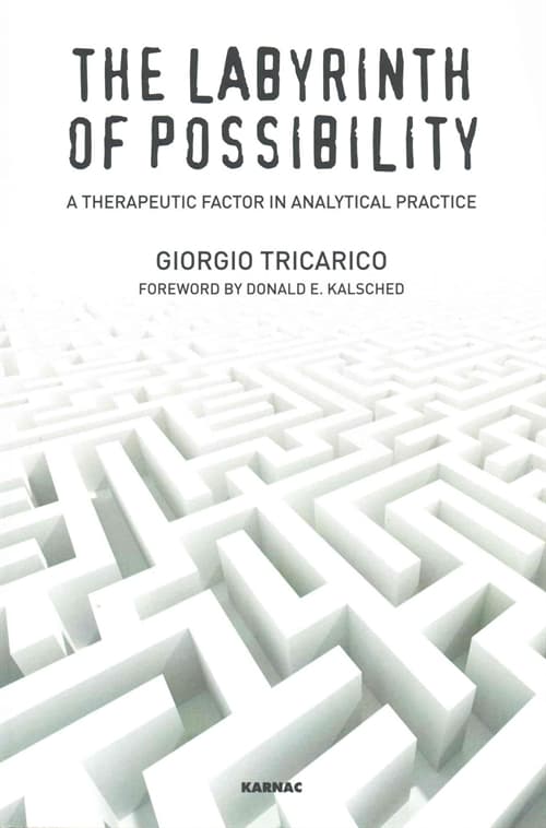 The Labyrinth of Possibility