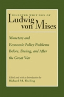 Monetary, fiscal, and economic policy problems before, during, and after the Great War