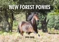 Miniatyrbild 1 av 2: Spirit of New Forest Ponies