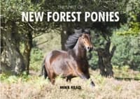 Spirit of New Forest Ponies
