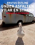 Miniatyrbillede 1 af 2: Under asfalten vilar en strand : Midways albatrosser