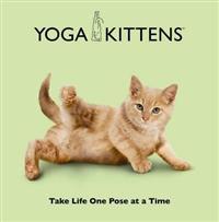 Yoga Kittens
