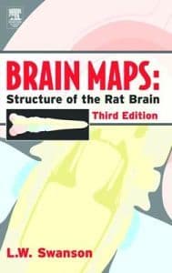 Brain Maps III