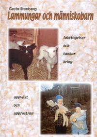 Lamungar och människobarn