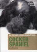 Miniatyrbilde 1 av 2: Cocker Spaniel