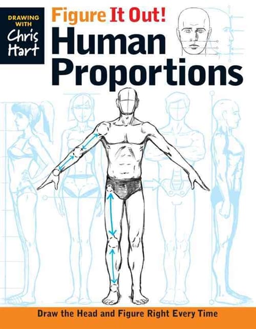 Figure It Out! Human Proportions