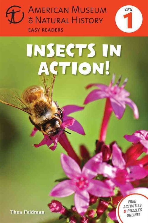 Insects In Action!