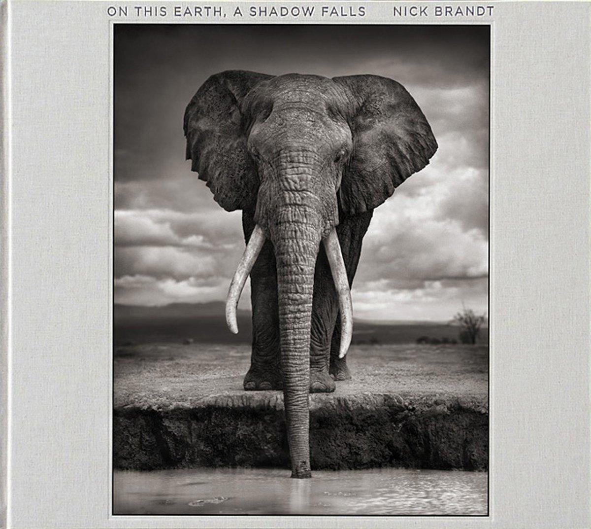 Nick Brandt