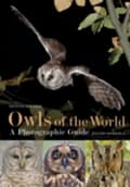 Miniatyrbillede 1 af 2: Owls of the World - A Photographic Guide