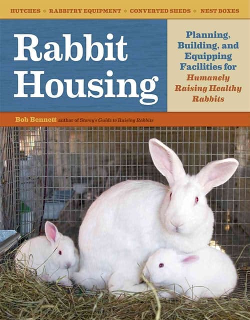 Rabbit Housing