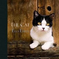 The Cat