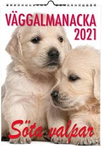Söta valpar Almanacka 2021