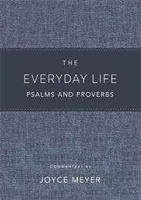 The Everyday Life Psalms and Proverbs, Platinum