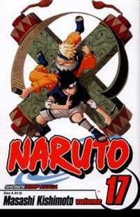Naruto, Vol. 17