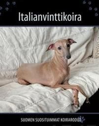 Italianvinttikoira
