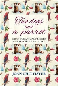 Two Dogs Parrot