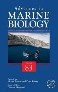 Sharks in Mexico: Research and Conservation