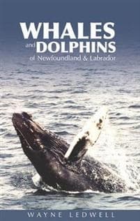 WhalesDolphins of NewfoundlandLabrador
