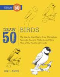 Draw 50 Birds